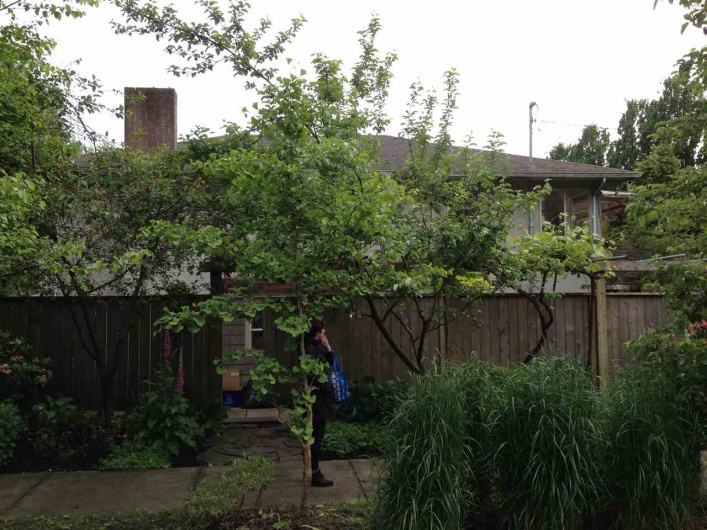 3307 GARDEN DRIVE, Vancouver, BC V5N 4Y3, 4 Bedrooms Bedrooms, ,2 BathroomsBathrooms,Residential Detached,For Sale,GARDEN,R2371248