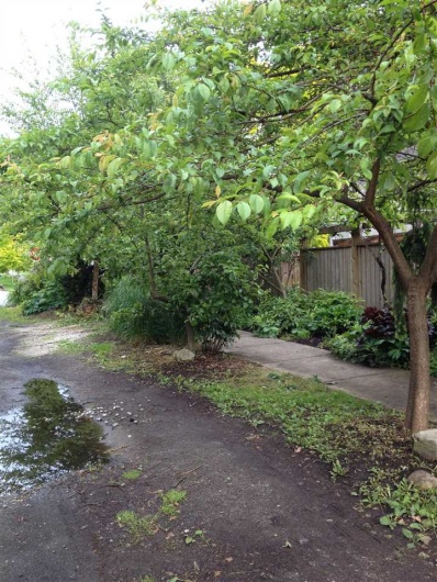 3307 GARDEN DRIVE, Vancouver, BC V5N 4Y3, 4 Bedrooms Bedrooms, ,2 BathroomsBathrooms,Residential Detached,For Sale,GARDEN,R2371248