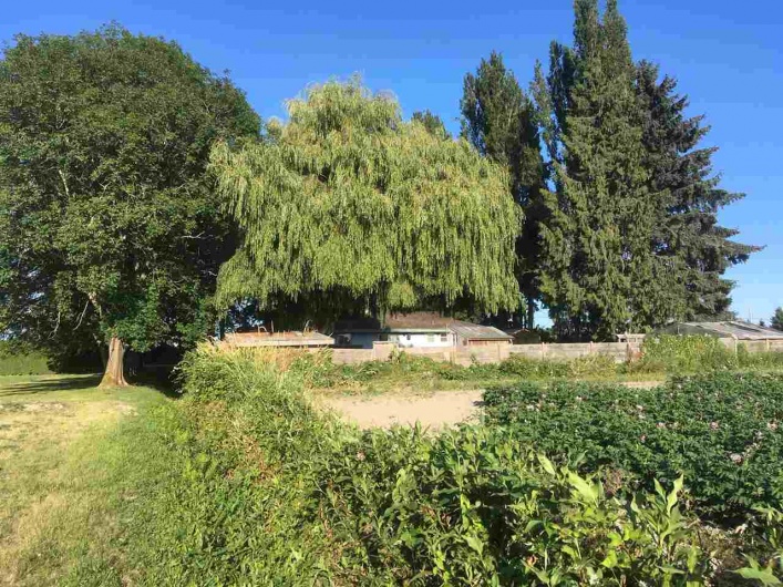 13251 GILBERT ROAD, Richmond, BC V7E 2H8, 3 Bedrooms Bedrooms, ,1 BathroomBathrooms,Residential Detached,For Sale,GILBERT,R2385727