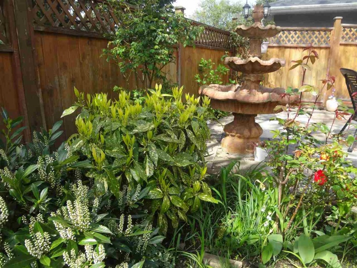 7280 15TH AVENUE, Burnaby, BC V3N 4Z7, 9 Bedrooms Bedrooms, ,4 BathroomsBathrooms,Residential Detached,For Sale,15TH,R2272639
